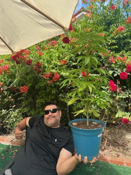 Man holding outdoor cannabis plant in pot thumbs up