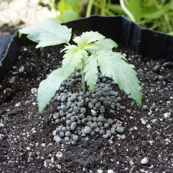 Reefertilizer Start Cannabis Soil Top Dressing