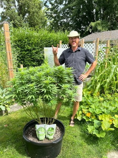 Growing outdoor cannabis with Grow and Bloom, well manicured cannabis plant