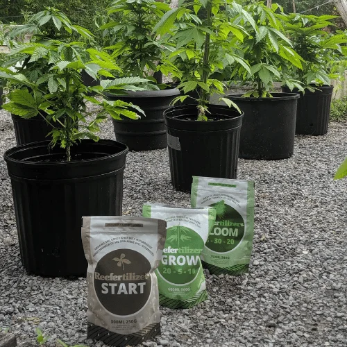 Reefertilizer nutrients for outdoor marijuanas
