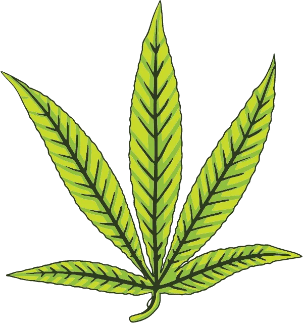 illustration of nitrogen deficiency in cannabis leaf