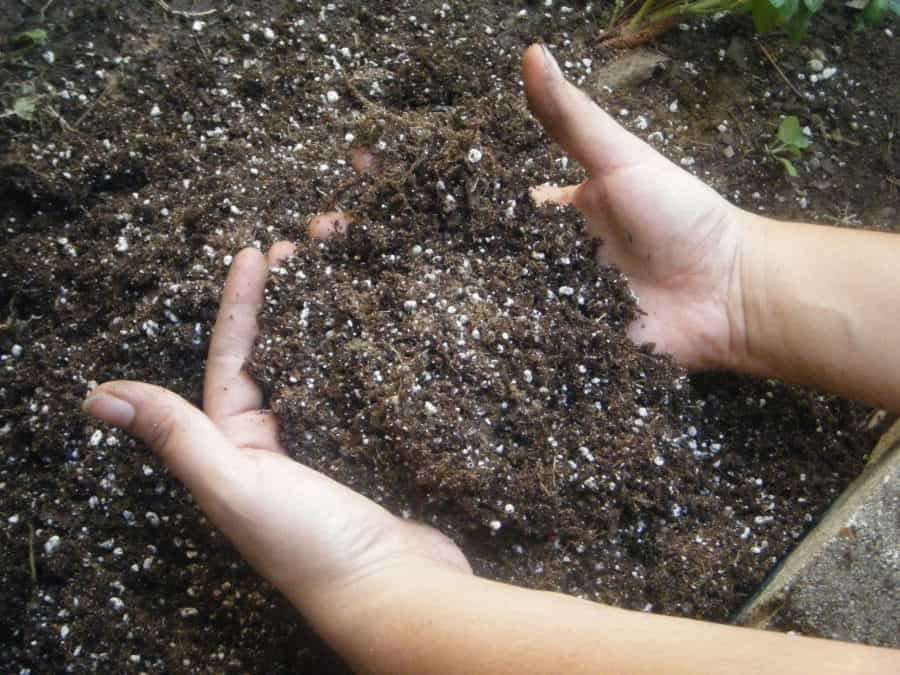 Soil for cannabis 4