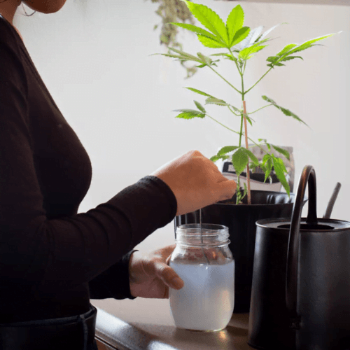 Menging Reefertilizer in water voor groenten