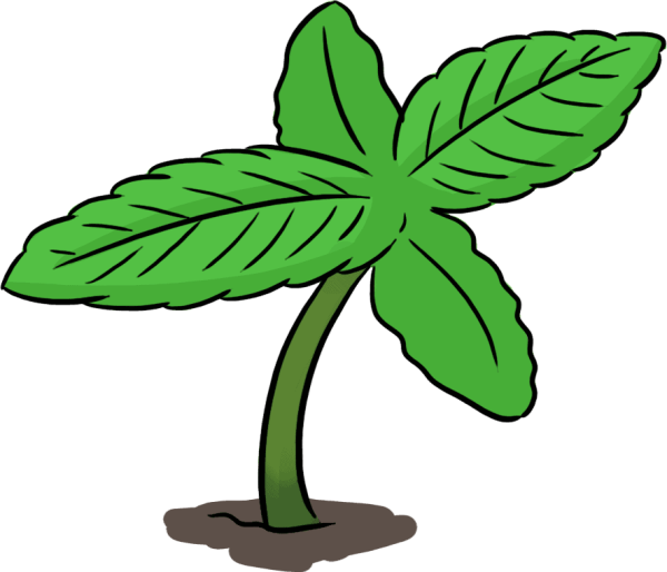cannabis sprout cartoon