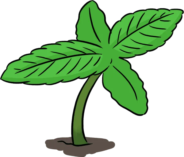 cannabis sprout cartoon
