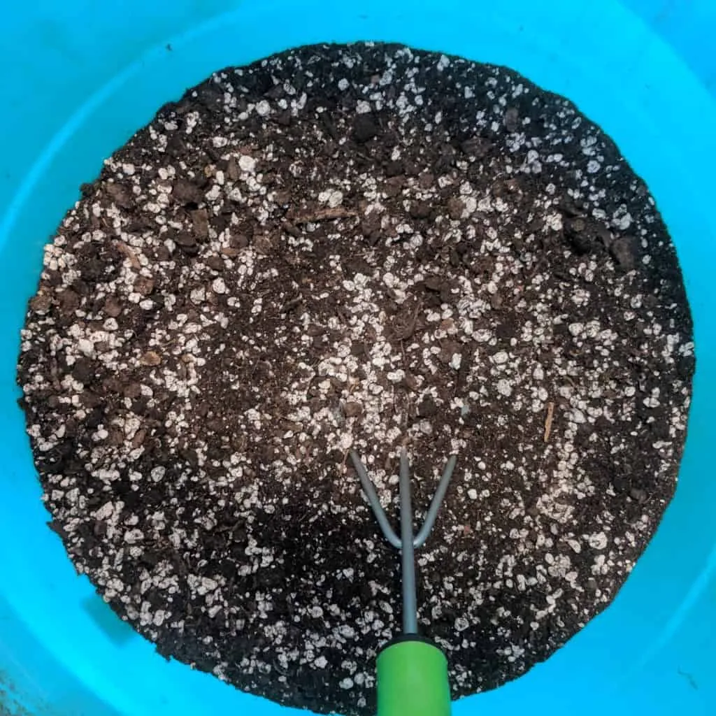 cannabis soil mix after