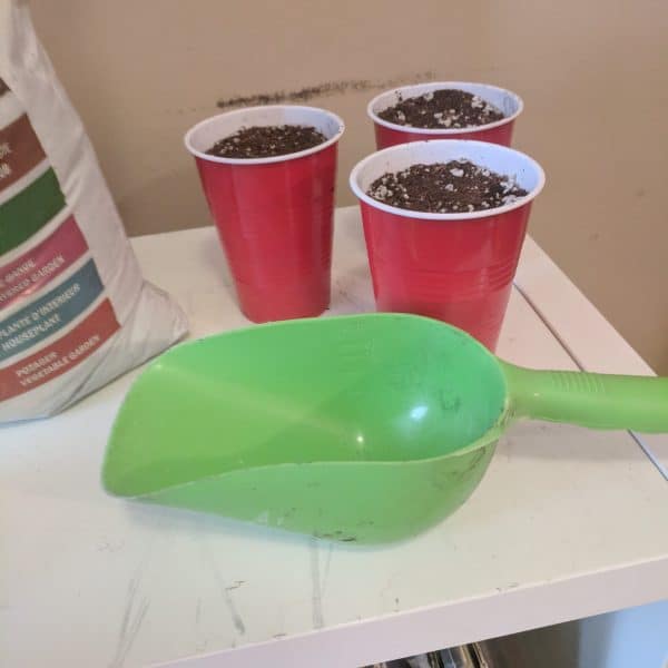 filled pots with scoop