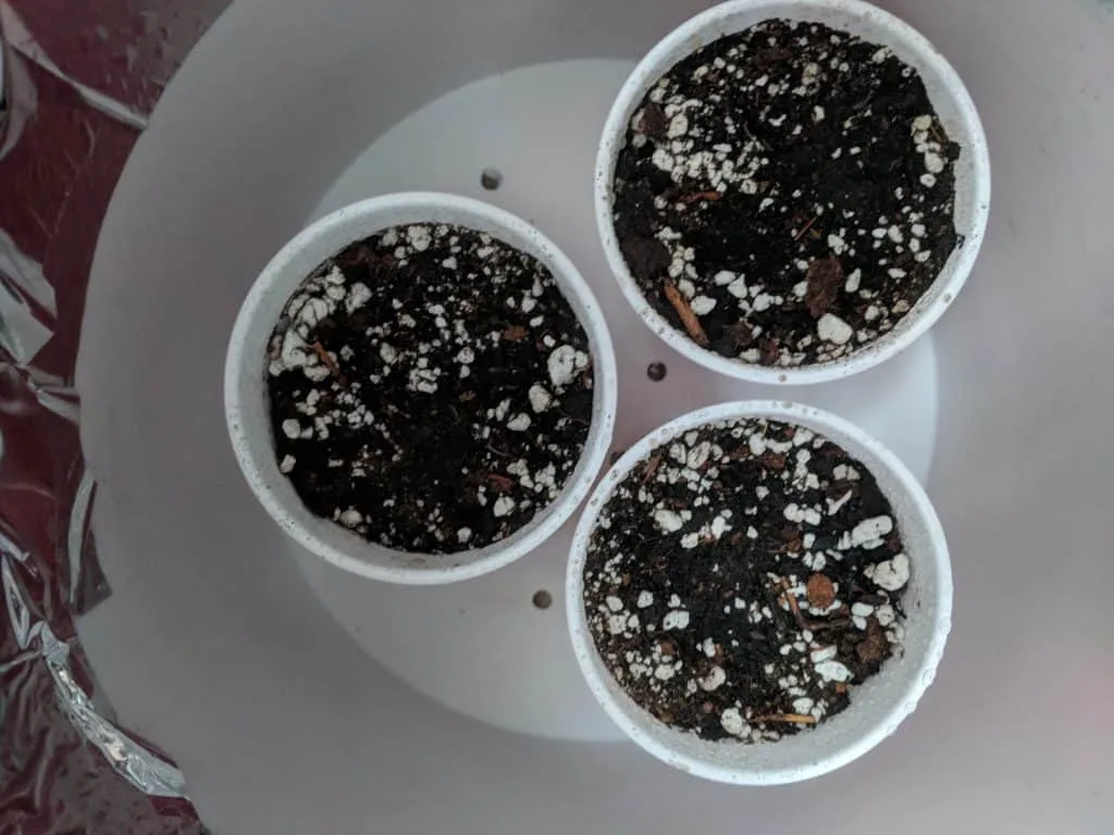 moistened planters in spacebucket