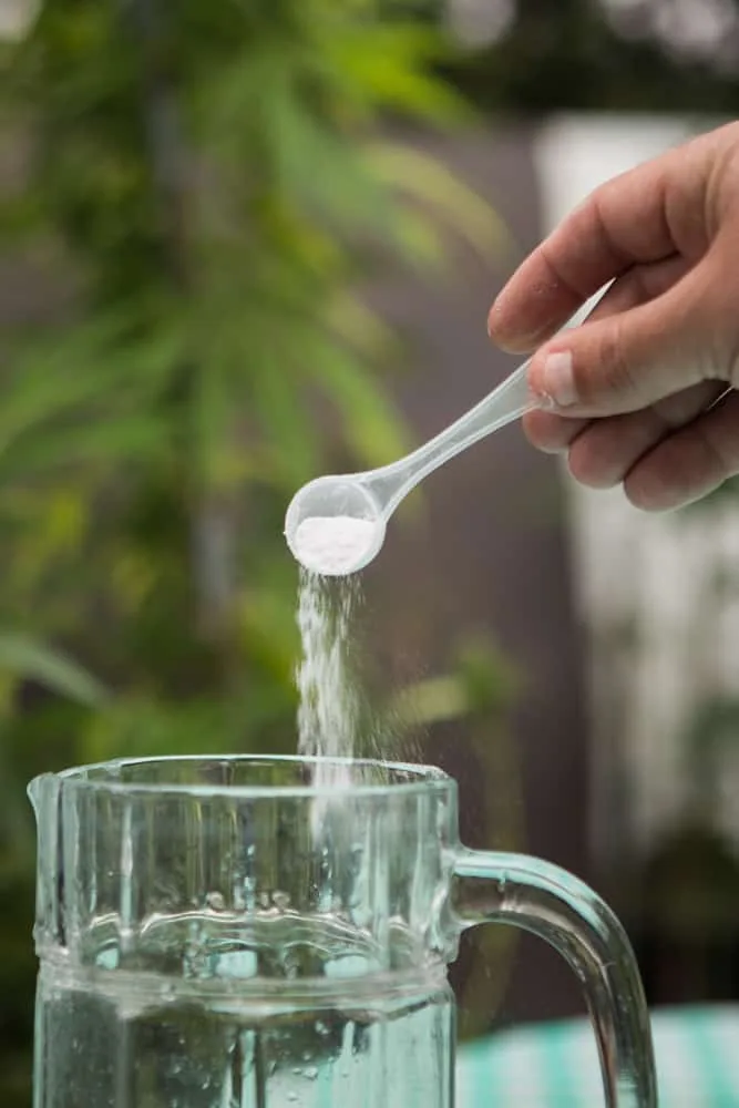 Mixing powder fertilizer for cannabis