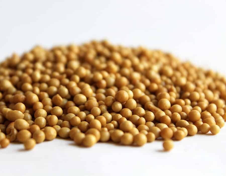 granular slow release fertilizer for cannabis grown in soil