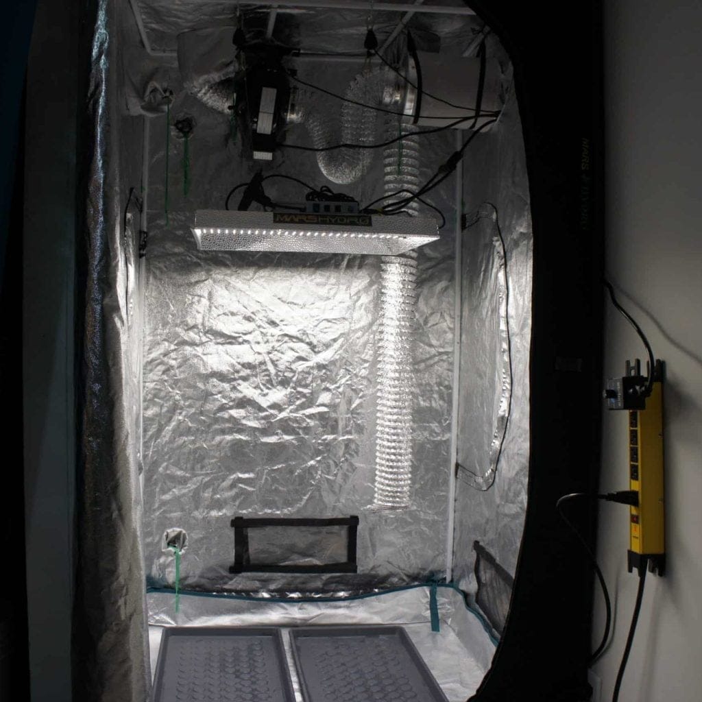 Basic Grow Tent Setup