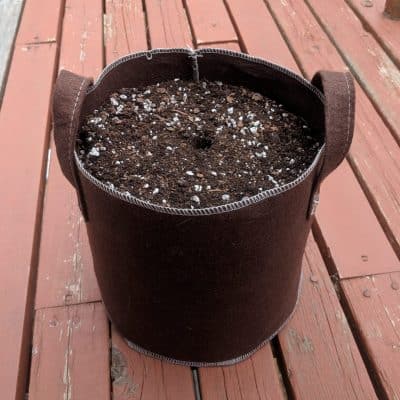 Fabric planter filled with soil and ready to plant cannabis