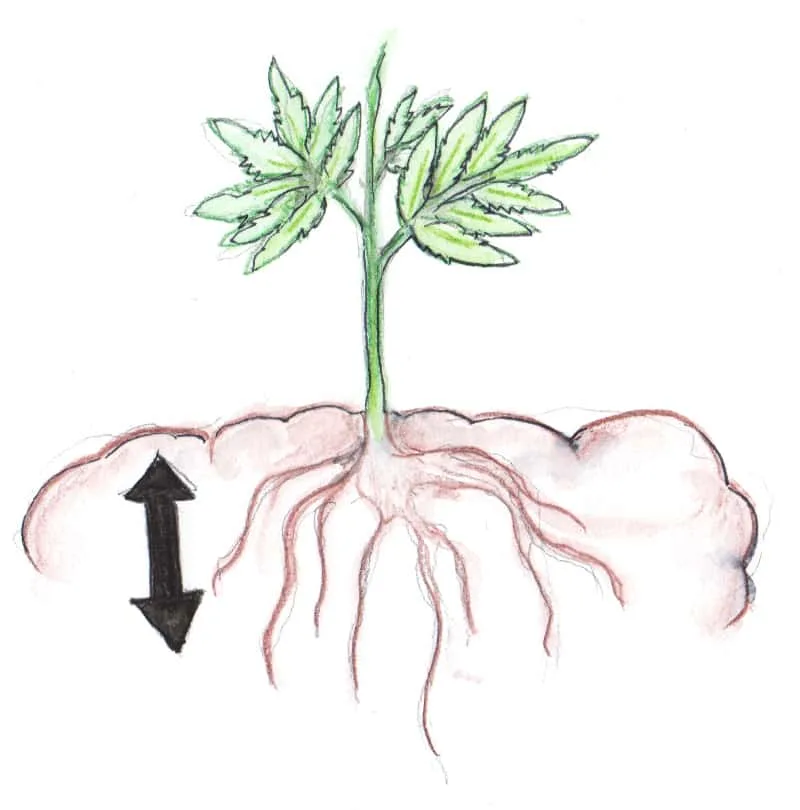 Replace outdoor soil with an organic soil mix