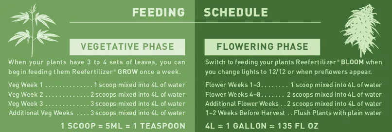 Reefertilizer nutrient feeding schedule