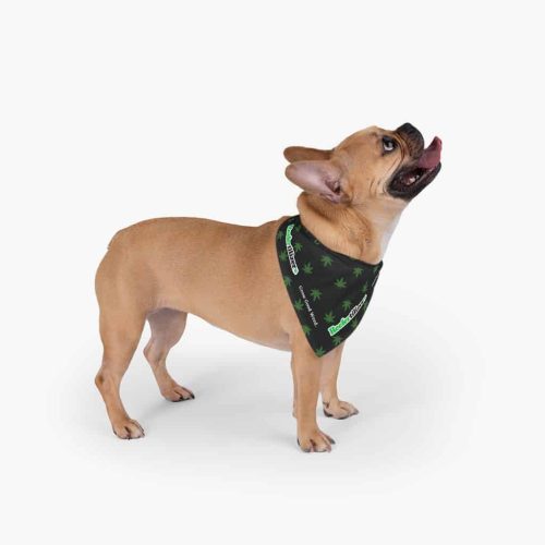 Reefertilizer Pet Bandana OLD - Image 2