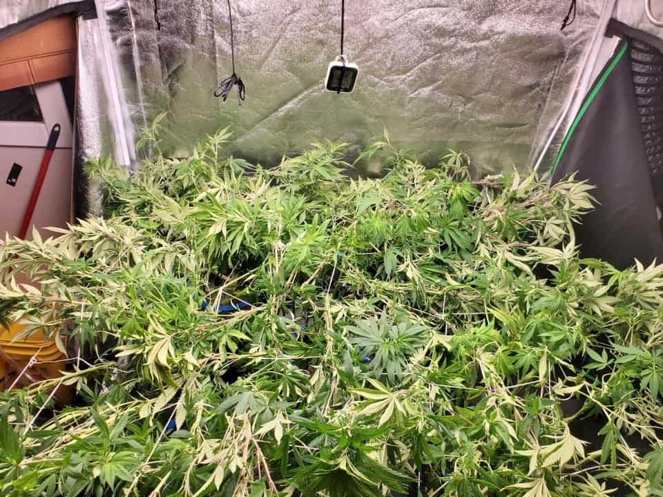 super cropping after