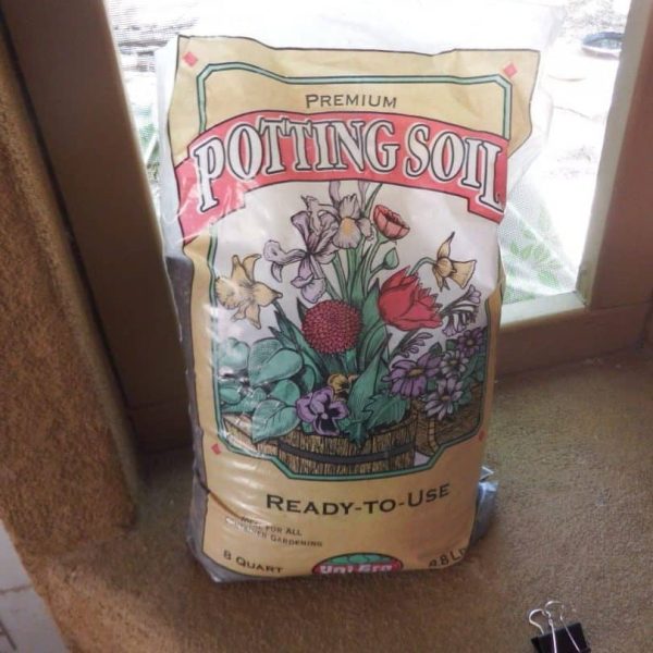Good old potting soil