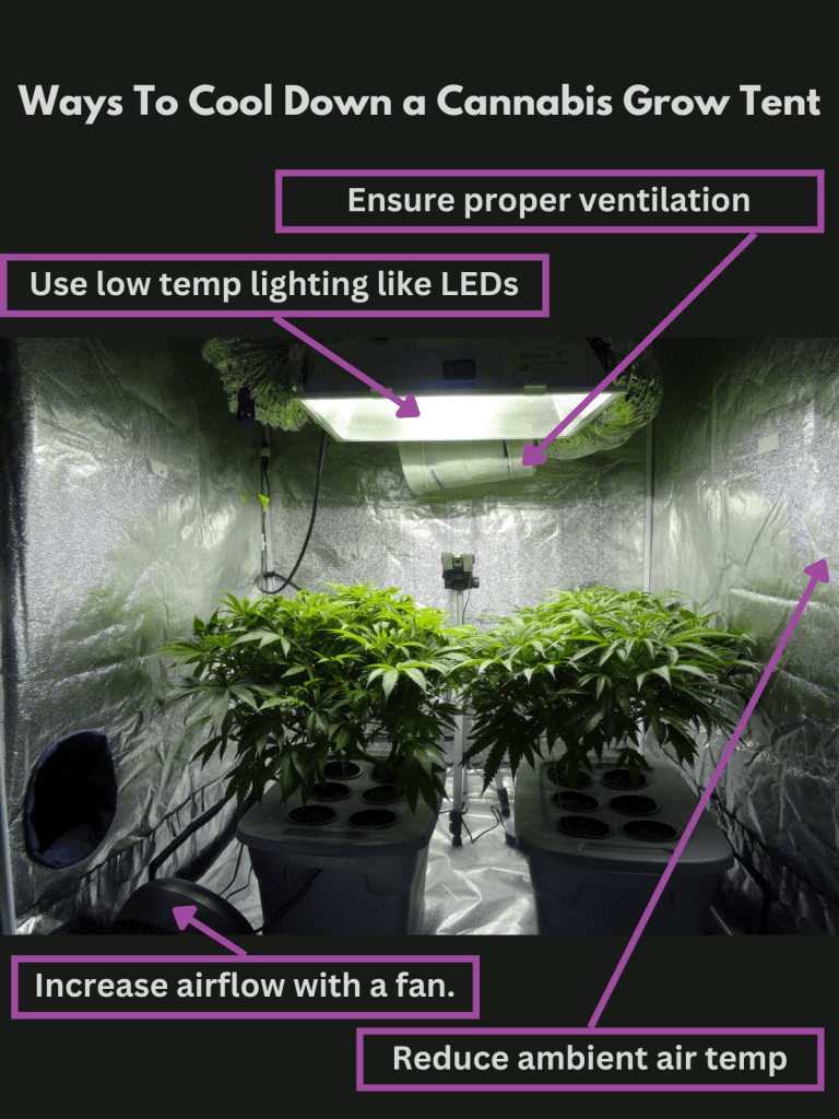 cool down grow tent infographic