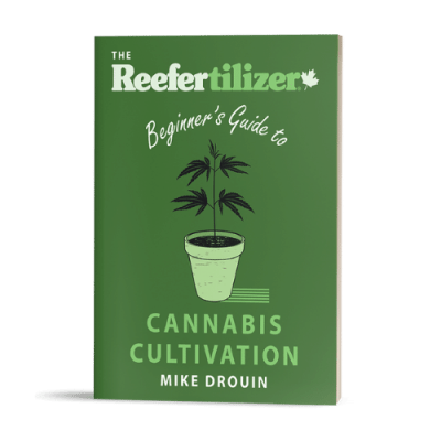 Beginners guide to cannabis cultivation