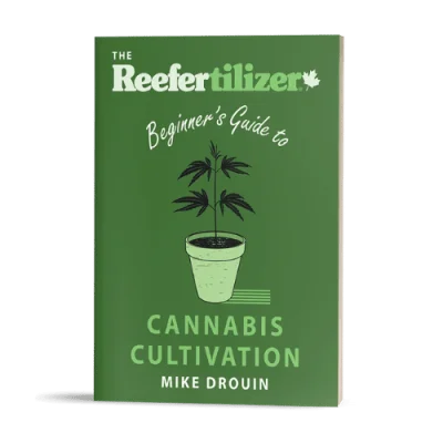 Beginners guide to cannabis cultivation