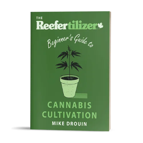 Beginners guide to cannabis cultivation