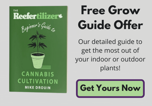 Free Beginner's Guide To Cannabis Cultivation