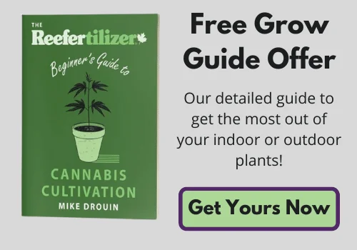 Free Beginner's Guide To Cannabis Cultivation