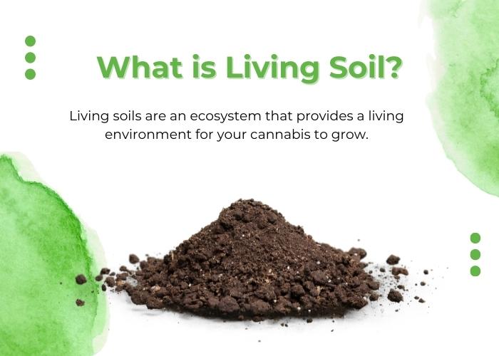 What is a Living Soil