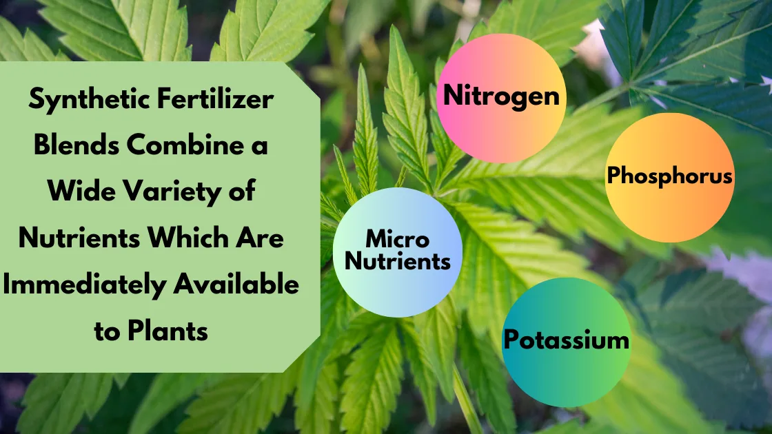 synthetic fertilizer blends vs organic