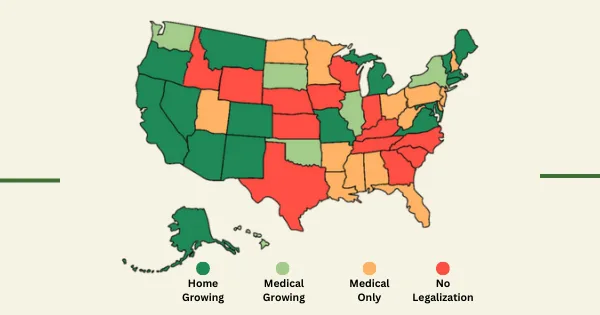 tip 1 check local laws for growing cannabis