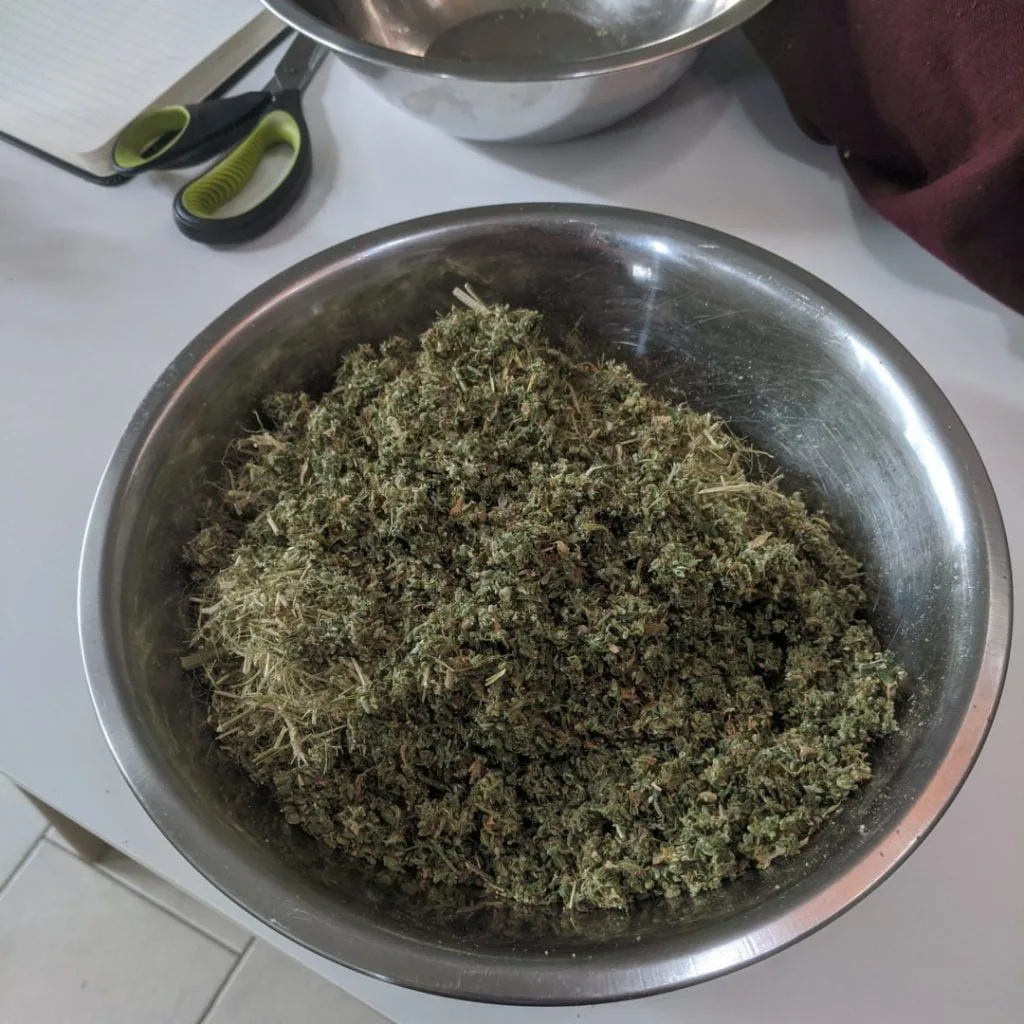 milled cannabis prepared for making RSO