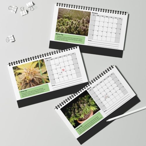 2024 Reefertilizer Desk Calendar For Mental Health - Image 5