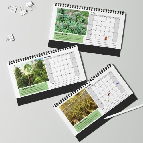 2024 Reefertilizer Desk Calendar For Mental Health - Image 8