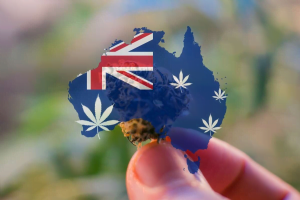 Un drapeau australien à la main avec des imprimés de cannabis