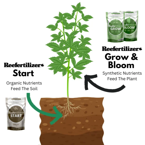 feed you soil and cannabis plants