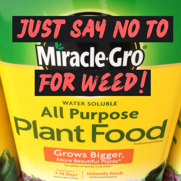 Say No To miracle Gro for Weed