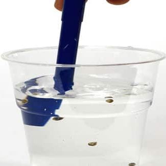 germinating seeds in a glass of water