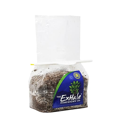 exhale CO2 bag