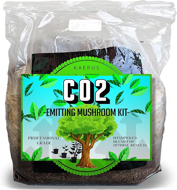 CO2 Mushroom kit