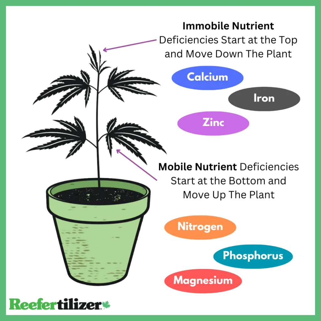 mobile vs immobile graphic for cannabis