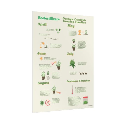 Outdoor Cannabis Growing Timeline Poster - Image 3