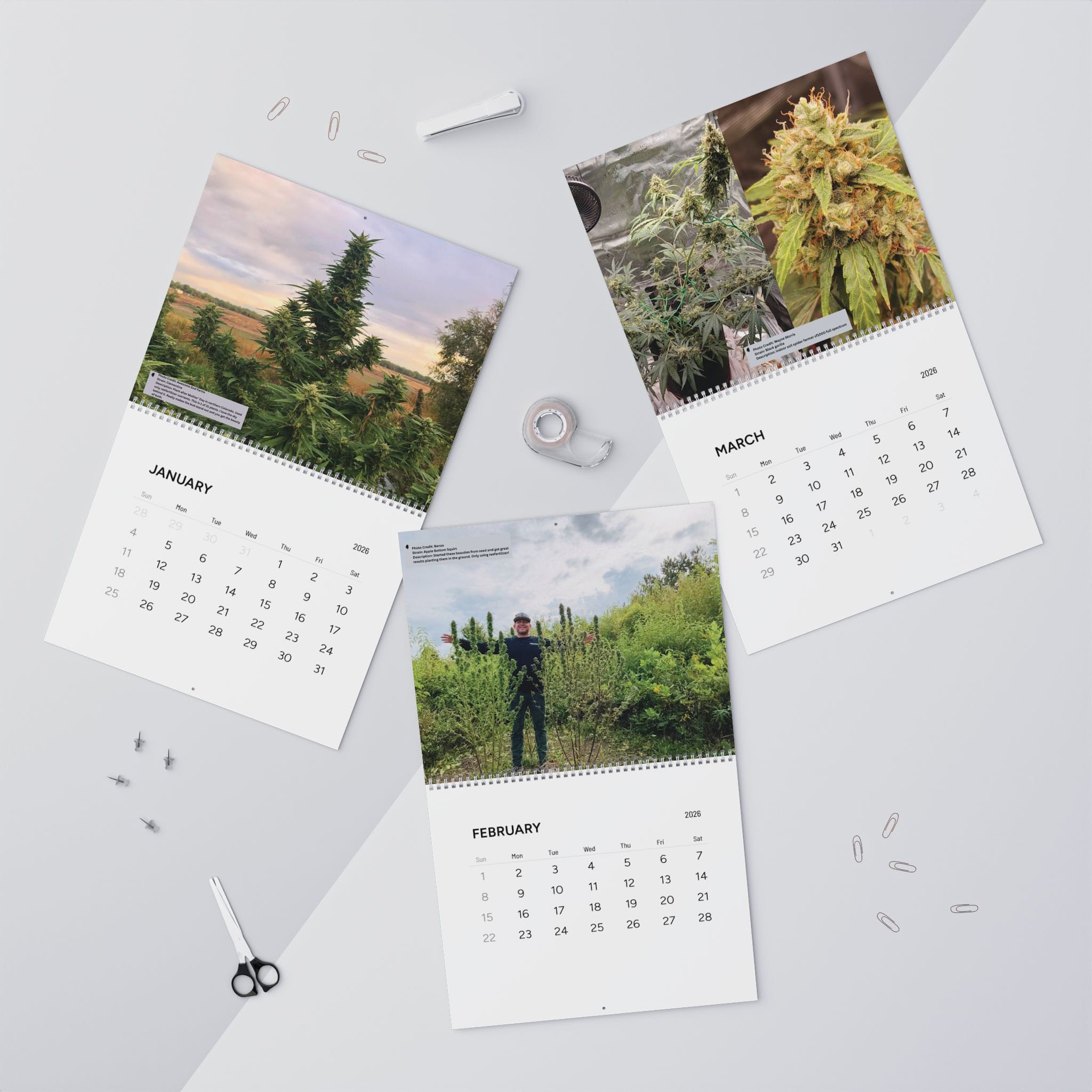 Reefertilizer 2026 Cannabis Calendar - Image 4