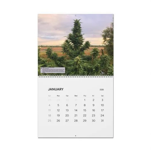 Reefertilizer 2026 Cannabis Calendar